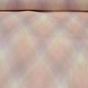 fs001